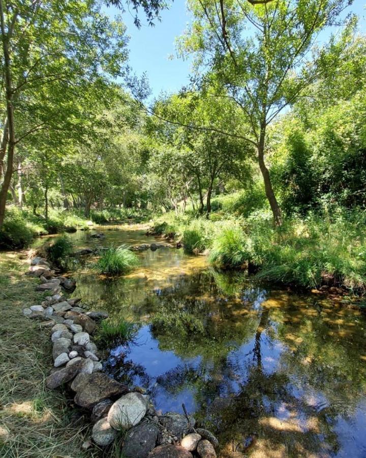 Hotel Ribera Del Corneja Navacepedilla de Corneja Luaran gambar